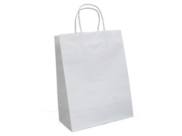 Buy Bulk Paper Bags | City of Kenmore, Washington