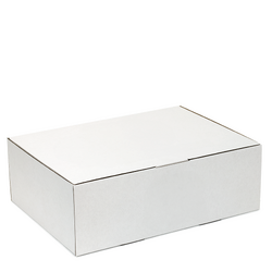 100 x Mailing Box - 310 x 230 x 105mm - Suits A4