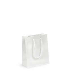 Gift Carry Bags - Glossy White - Small/Medium