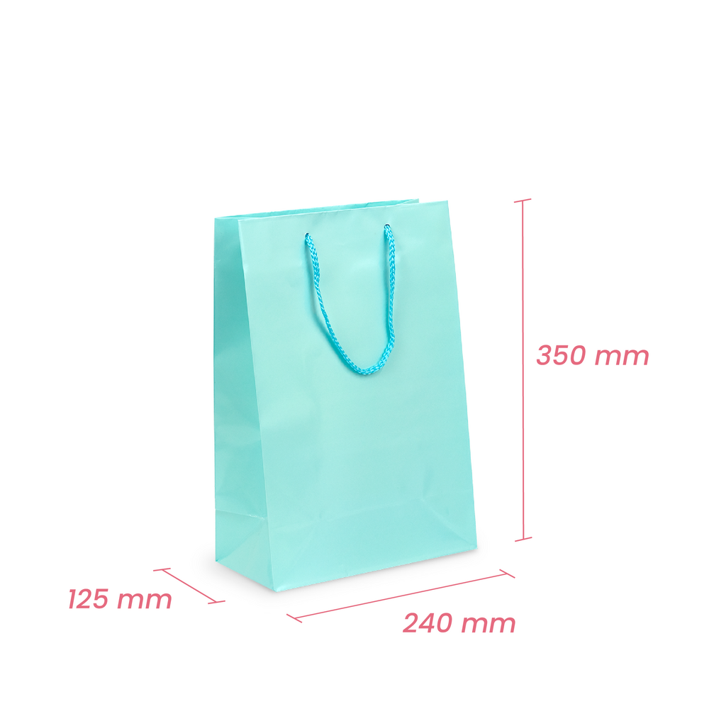 Gift Carry Bags - Glossy Light Blue - Medium/Large
