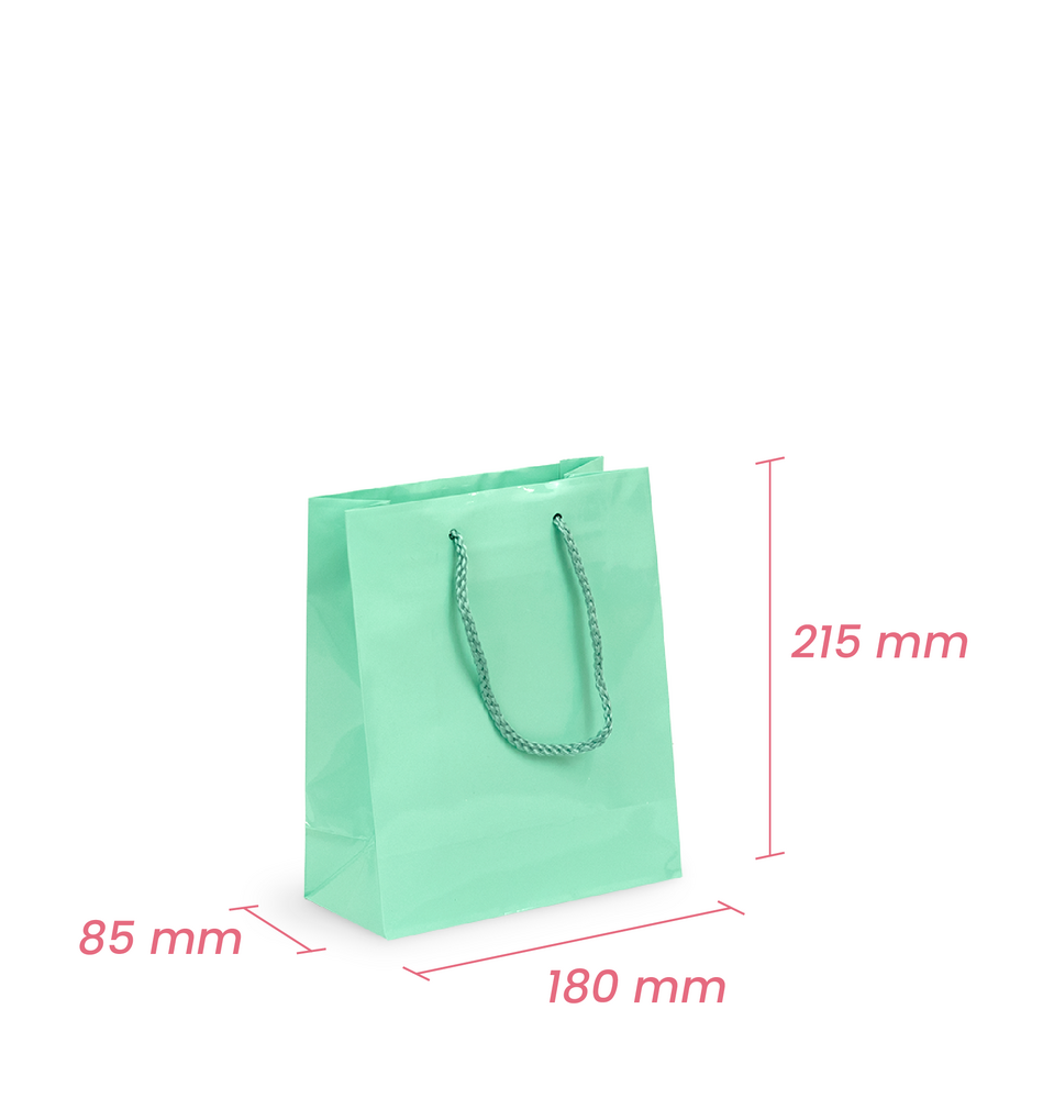 Gift Carry Bags - Glossy Sea Green - Small/Medium