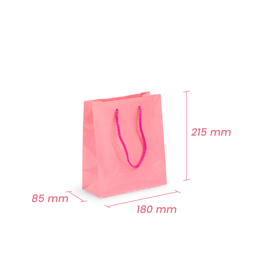 Gift Carry Bags - Glossy Light Pink - Small/Medium