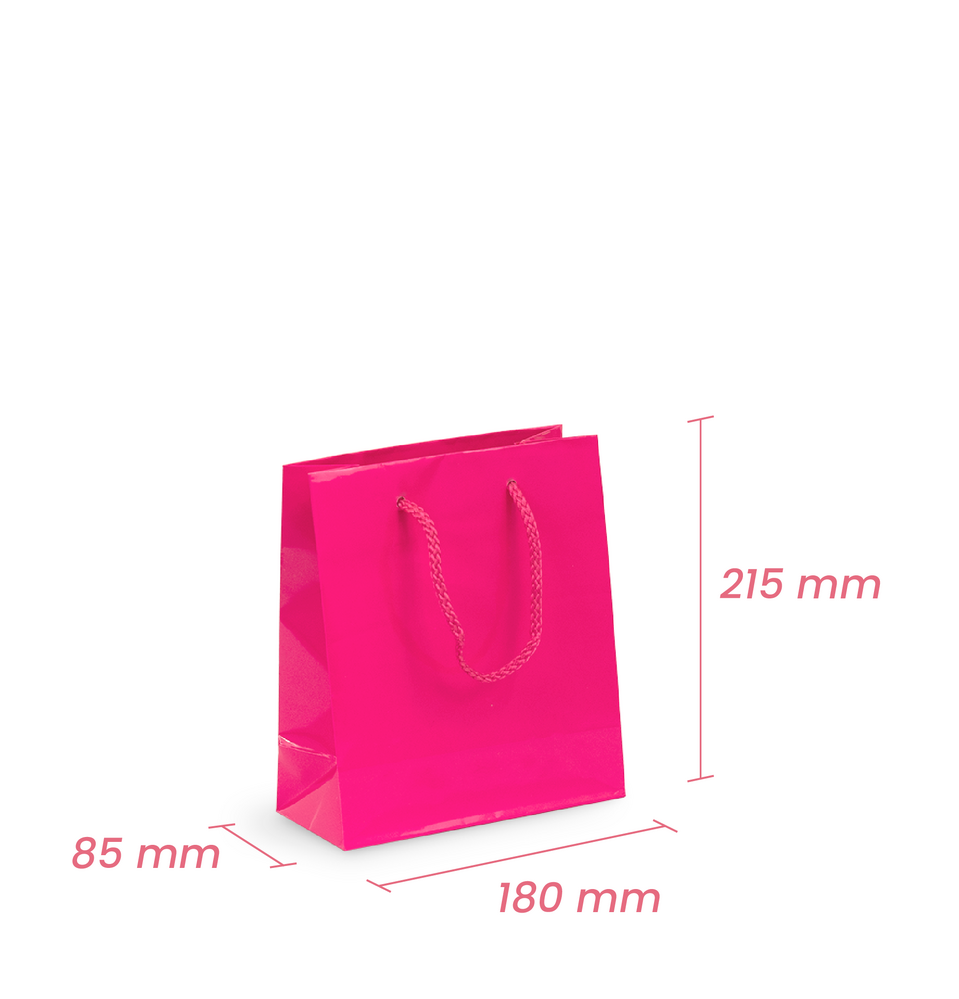 Gift Carry Bags - Glossy Hot Pink - Small/Medium