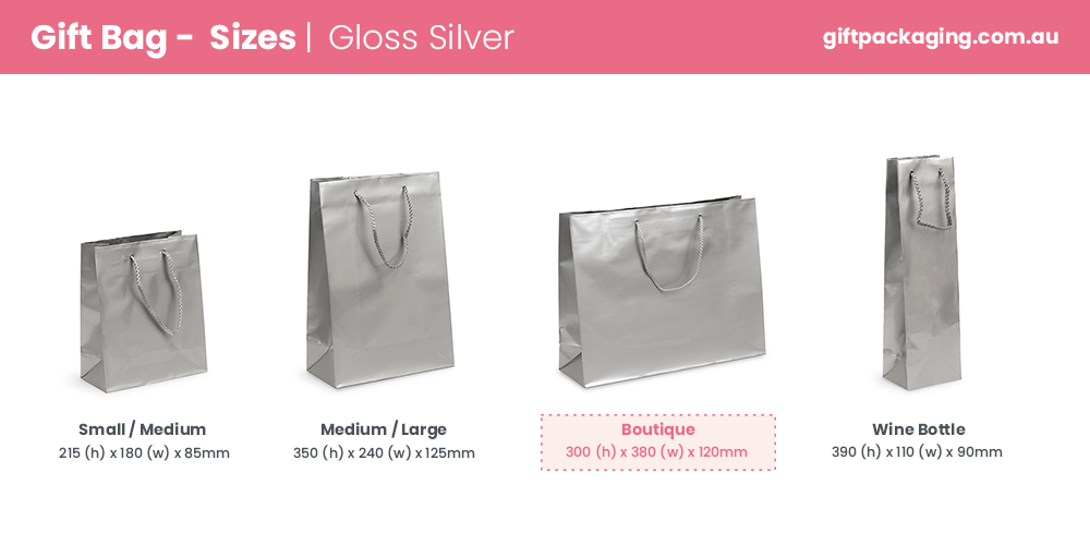 Gift Carry Bags - Glossy Silver - Boutique