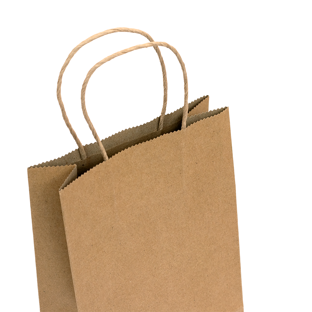 Recycled Kraft Bags - Small - Brown