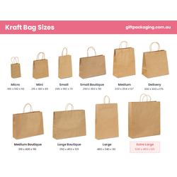 Large Kraft Takeaway Bags 25x14x30cm (250 per case) – Big Brown Carrier Bag