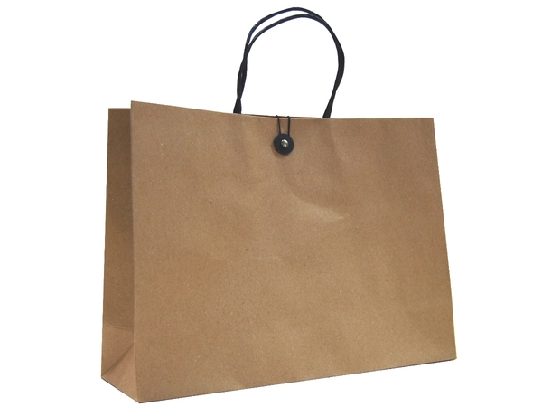 Brown Kraft Paper Bags - Gift Party Bags Without Handles | 6