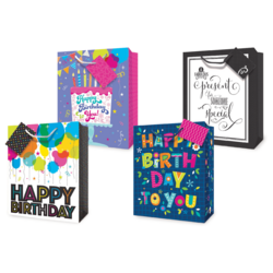 Everyday Gift Bags - Birthday Gift Bags - Small to Medium