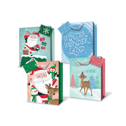 Christmas Bags - Winter Wonderland Assortment - Small To Medium