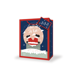 Christmas Bags - Santa Down Chimney - Small to Medium