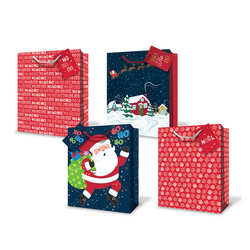 Christmas Bags - Santa, Snow & Ho Assortment - Small to Medium