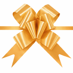 Pull String Butterfly Bows - Gold