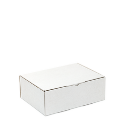 100 x Mailing Box - 220 x 160 x 77mm -  White Diecut Suit A5