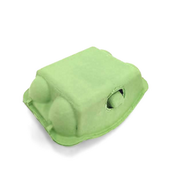 6 Pack Egg Carton - Green