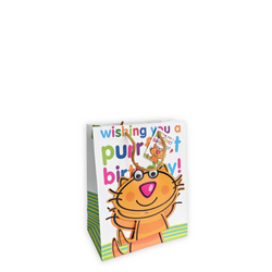 Medium Birthday Gift Bag – “Purrfect Birthday” Cool Cat with Googly Eyes