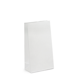Small - White Kraft Paper Gift Bags - FSC Certified