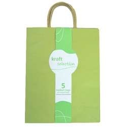 Medium Kraft Gift Bags - 5 Pack Green