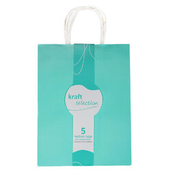 Medium Kraft Gift Bags - 5 Pack Sea Green