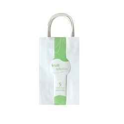 Small Kraft Gift Bags - 5 Pack White