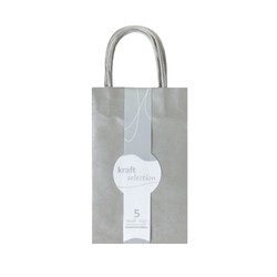 Small Kraft Gift Bags - 5 Pack Metallic Silver
