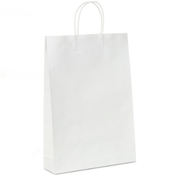 Kraft Bags - Large - White