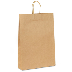 Kraft Bags - Large - Brown