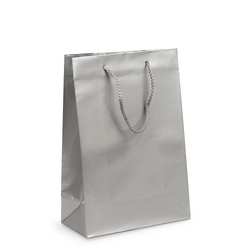 Gift Carry Bags - Glossy Silver - Medium/Large