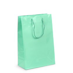 Gift Carry Bags - Glossy Sea Green - Medium/Large