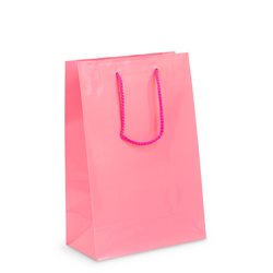Gift Carry Bags - Glossy Light Pink - Medium/Large