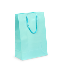 Gift Carry Bags - Glossy Light Blue - Medium/Large