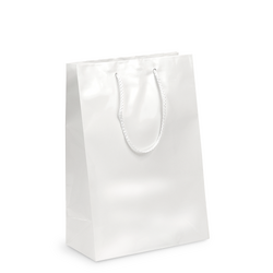 Gift Carry Bags - Glossy White - Medium/Large