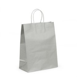 Kraft Bags - Medium - Metallic Silver