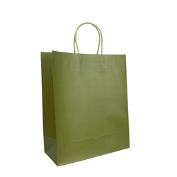Kraft Bags - Medium - Olive Green