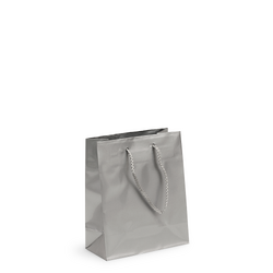 Gift Carry Bags - Glossy Silver - Small/Medium