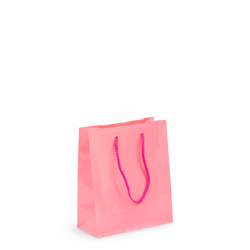 Gift Carry Bags - Glossy Light Pink - Small/Medium