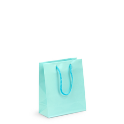 Gift Carry Bags - Glossy Light Blue - Small/Medium