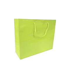 Gift Carry Bags - Apple Green - Boutique
