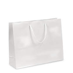 Gift Carry Bags - Glossy White - Boutique 
