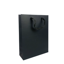 Kraft Bags - Premium Black Art Card Medium Gift Bag - Black Paper Handles