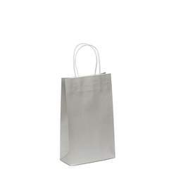 Kraft Bags - Small - Metallic Silver