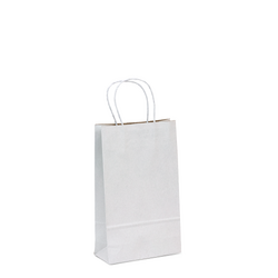 Recycled Kraft Bags - Small -  White Top