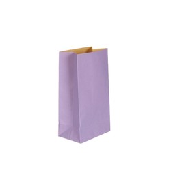 Kraft Bags - Treat Size - Purple