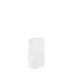 Kraft Bags - Treat Size - White