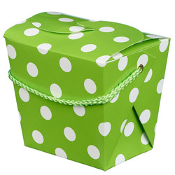 Noodle Boxes - 4pc - Green Dots
