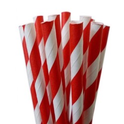 Paper Straws - 20pcs - Red Stripes