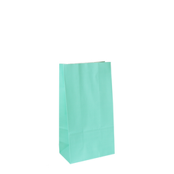 Coloured Gift Bags - Mint Green Kraft Paper Bags