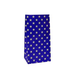 Paper Party Loot Bags - Stars on Blue