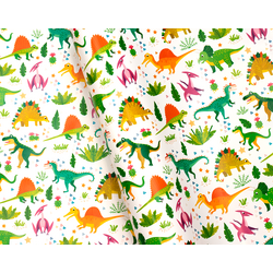 Wrapping Paper - 500mm x 60M - Dinosaurs