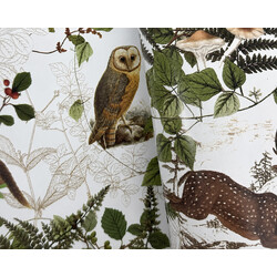 Wrapping Paper - 500mm x 60M - Flora & Fauna