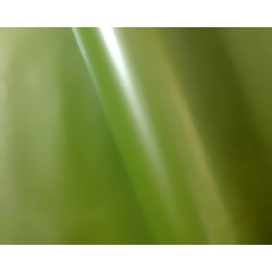 Wrapping Paper - 500mm x 60M - Pearl Green Moss